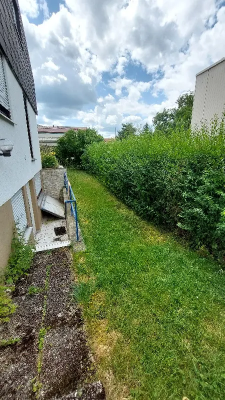 Hecke ungeschnitten Vorher