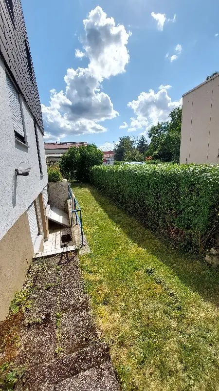 Hecke geschnitten Nachher
